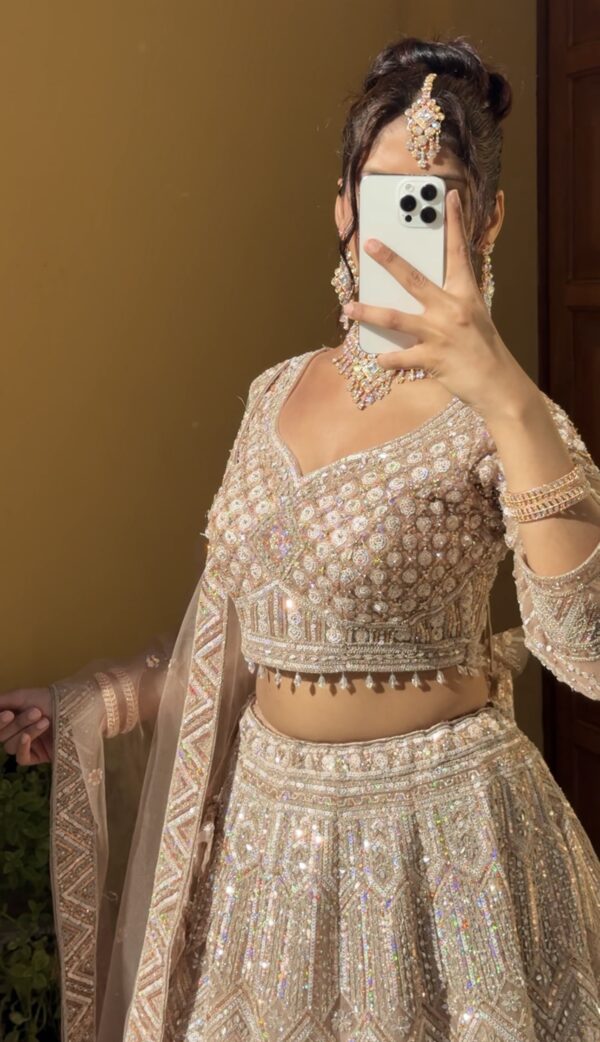 Elegant Silk Net Lehenga – A Sparkling Statement of Grace